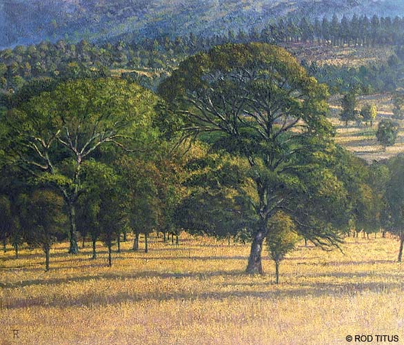 ROD TITUS Alan's Meadow - Black Oak / Large